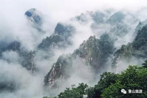 天瑞旅游集团举办紧急救护知识培训 提升景区