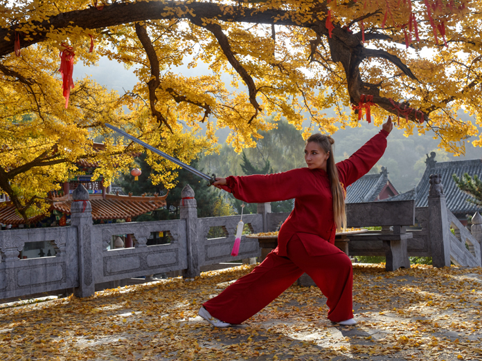 银杏古寺杨向阳.jpg
