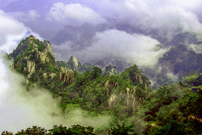 《九峰荟萃》黄岩.jpg
