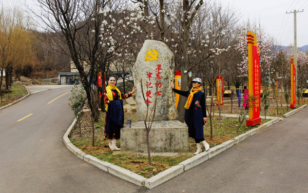 作品名称：《辛夷花开迎客来》、作者：张宝富、13703756599、通讯地址：平顶山市区、拍摄地点：团城乡jpg.jpg