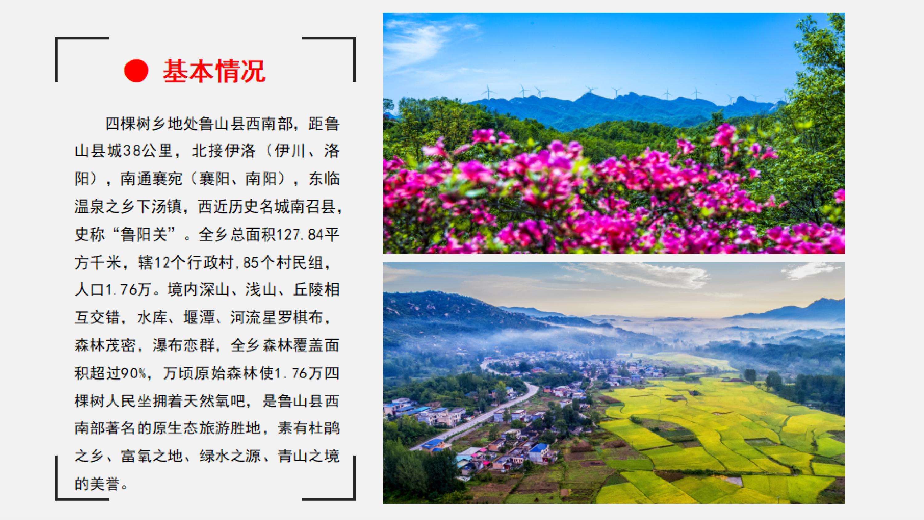 鲁山县四棵树乡简介_01.jpg