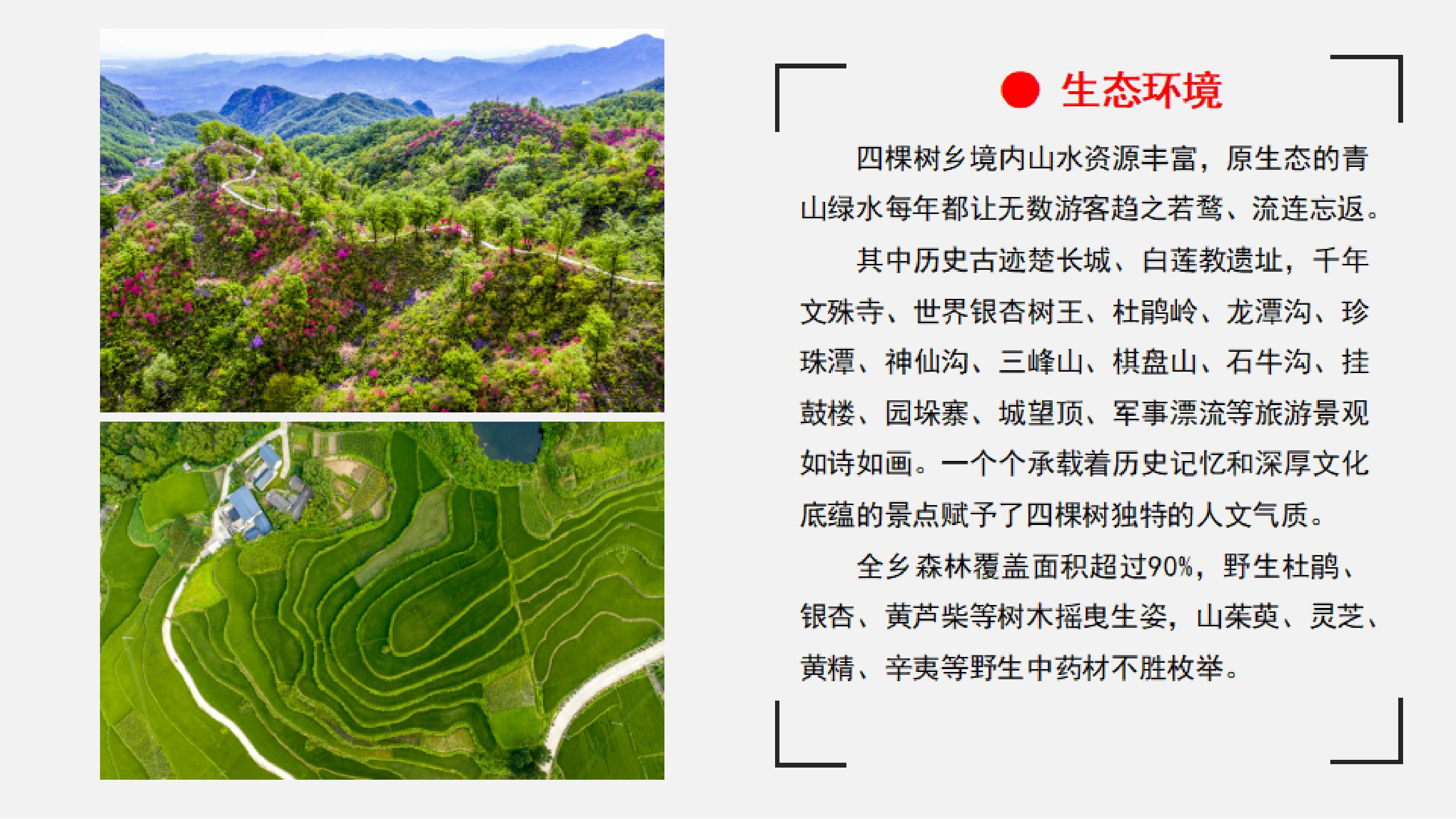 鲁山县四棵树乡简介_03.jpg