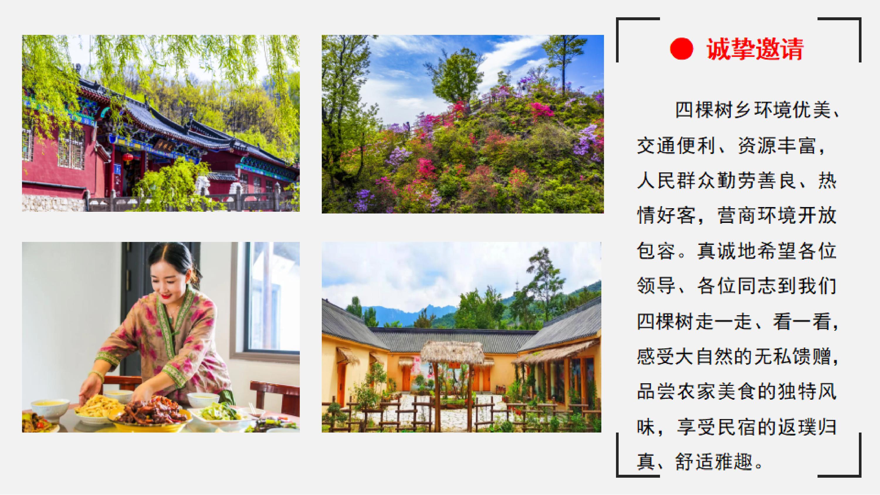 鲁山县四棵树乡简介_14.jpg