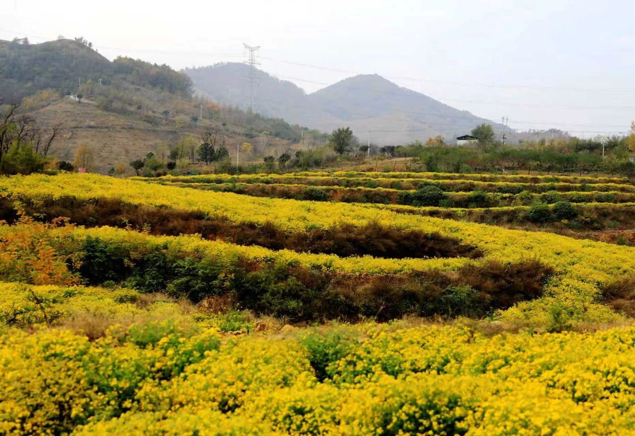 微信图片_2025-11-17_152635_894.jpg 微信图片_2025-11-17_152635_894.jpg