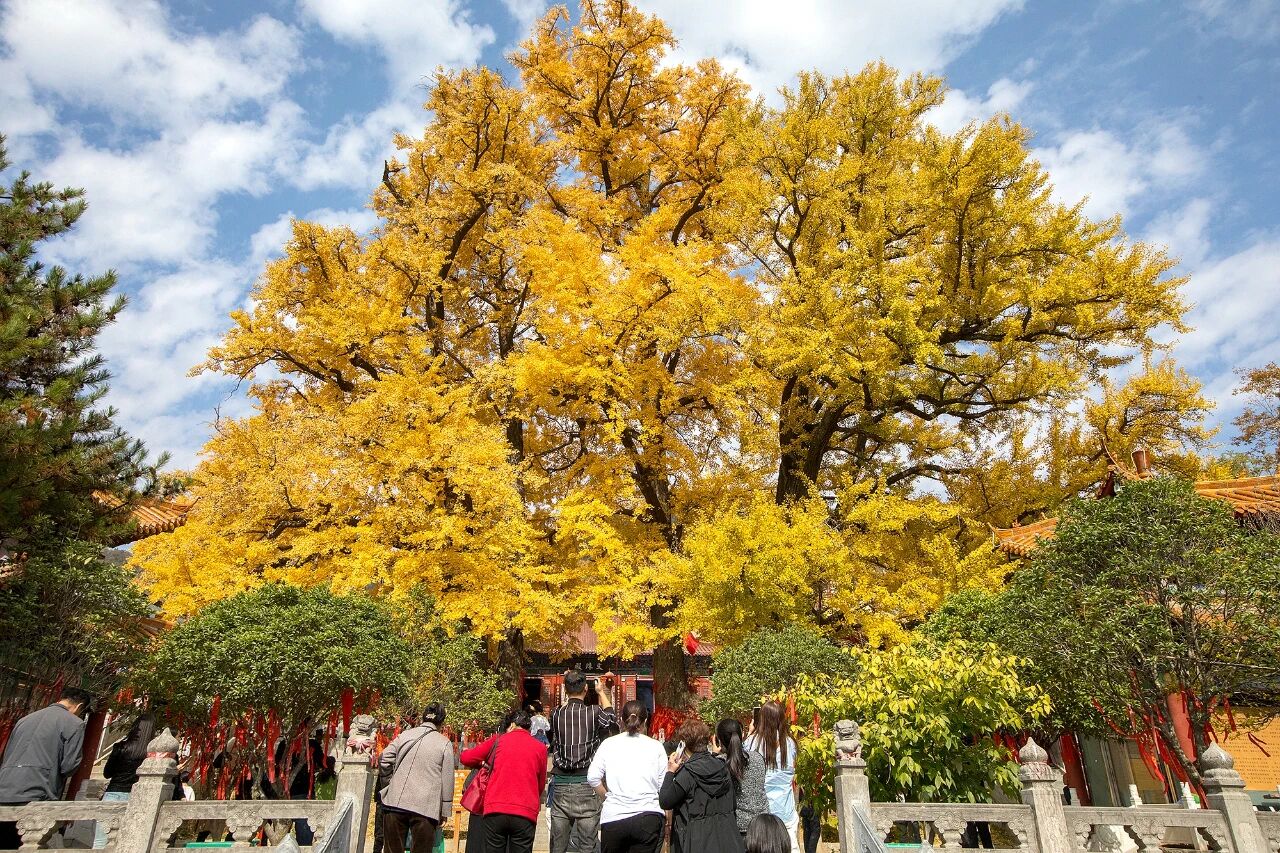 微信图片_2025-11-17_152351_397.jpg 微信图片_2025-11-17_152351_397.jpg