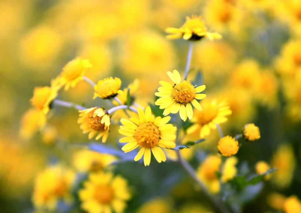 微信图片_2025-11-17_152439_278.jpg 微信图片_2025-11-17_152439_278.jpg