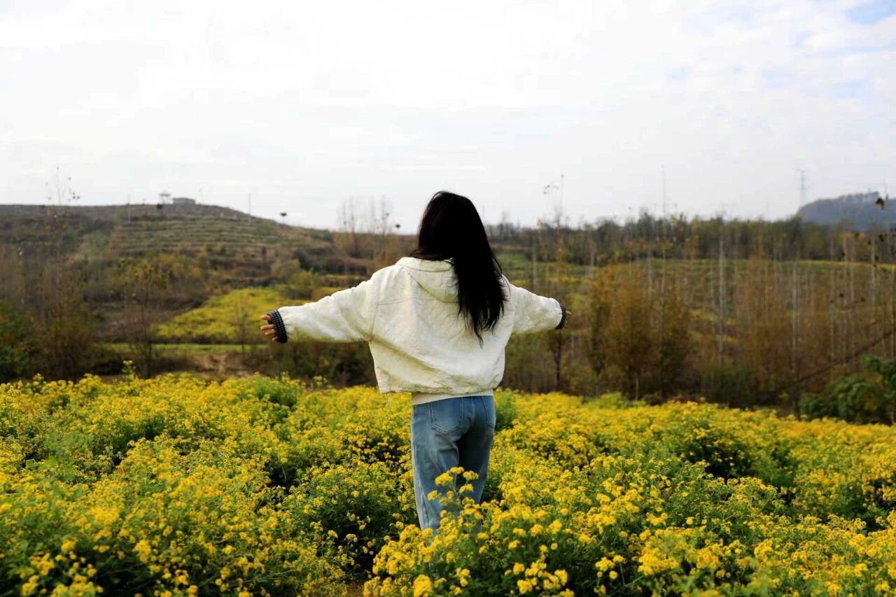 微信图片_2025-11-17_152653_918.jpg 微信图片_2025-11-17_152653_918.jpg