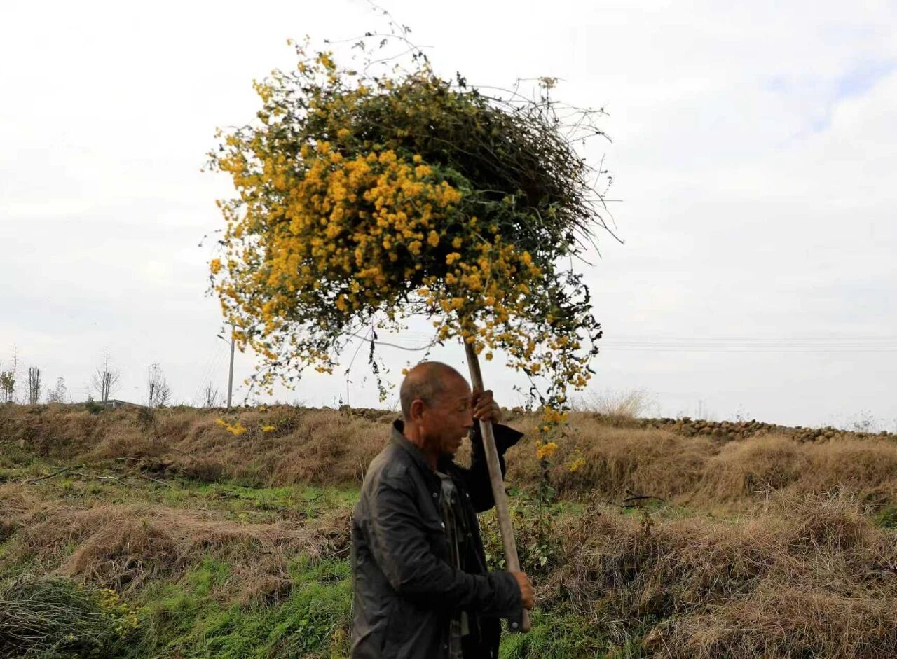 微信图片_2025-11-17_152645_102.jpg 微信图片_2025-11-17_152645_102.jpg